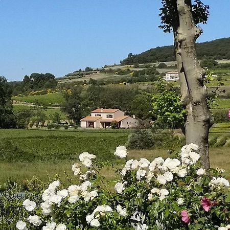 Domaine De Peilhan Roujan Екстер'єр фото