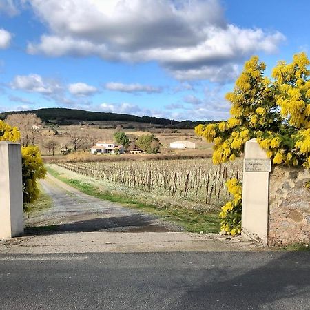 Domaine De Peilhan Roujan Екстер'єр фото