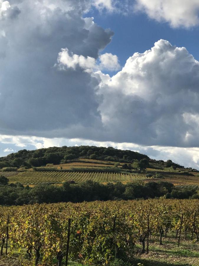 Domaine De Peilhan Roujan Екстер'єр фото