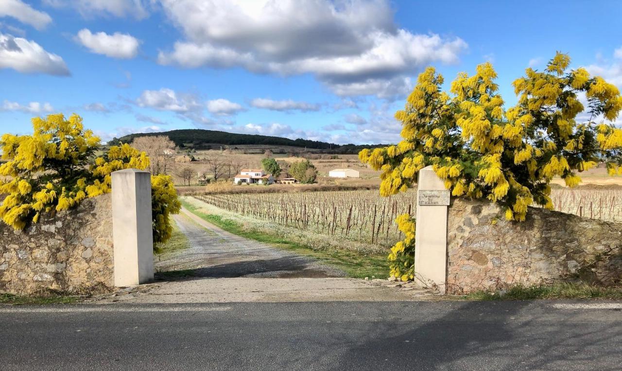 Domaine De Peilhan Roujan Екстер'єр фото